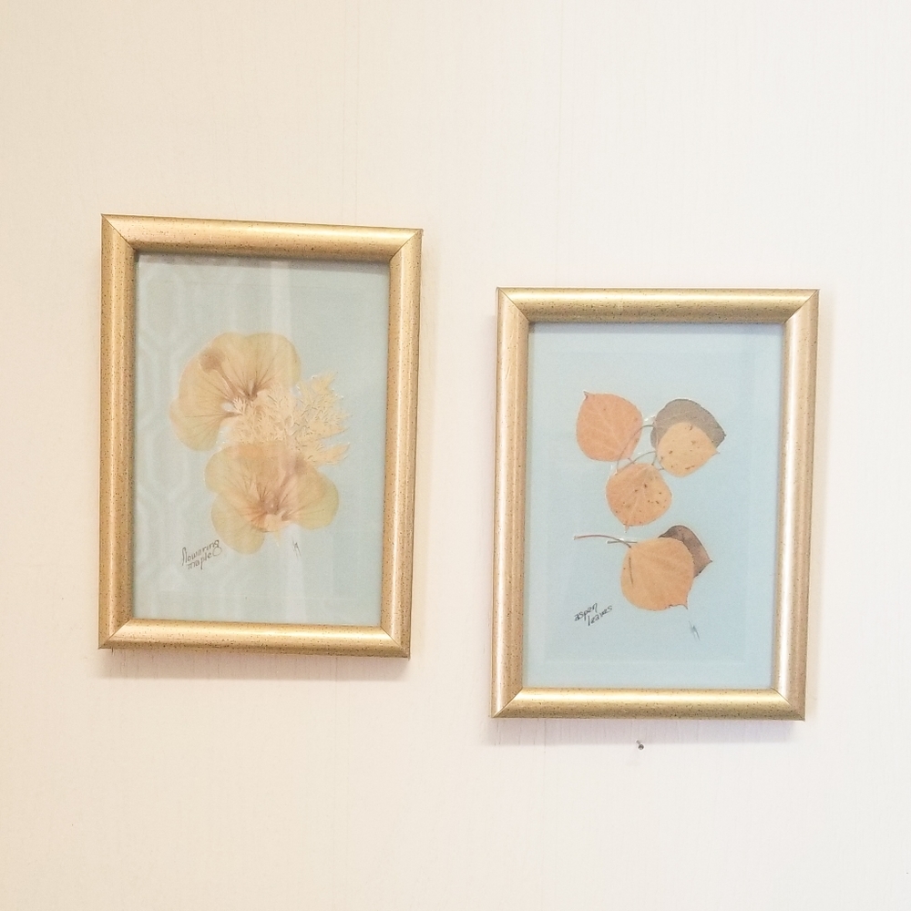 Vintage Pair of framed pressed Leaves